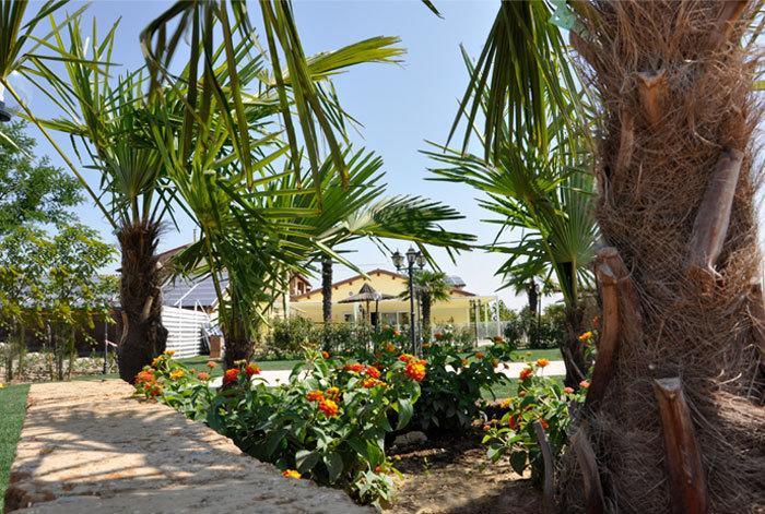 Locanda Del Lupo Faenza Dış mekan fotoğraf
